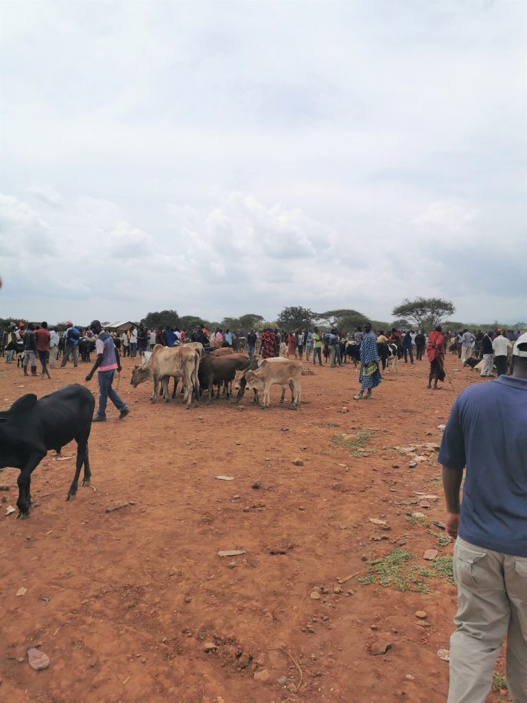 Madame M les Voyages 
Notre rencontre avec les Massaïs de Tanzanie
la vente des vaches