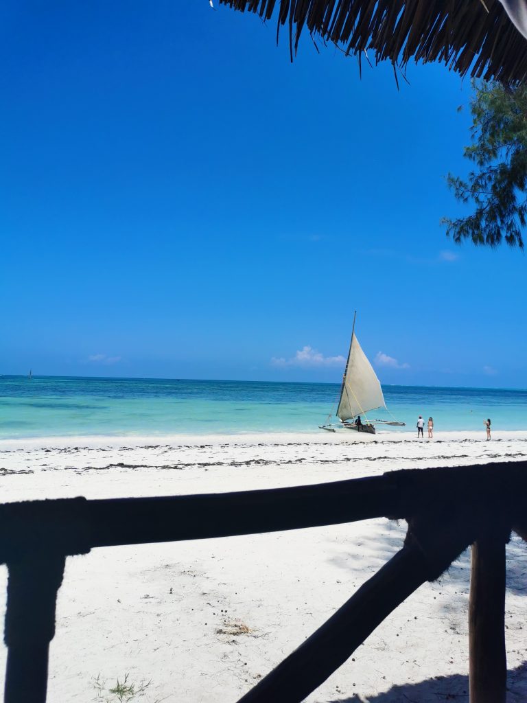blog voyage
Madame M les voyages
6 choses à faire à Zanzibar
Un peu de Jambiani