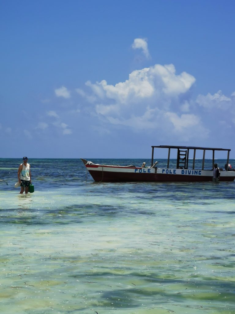 Madame M les voyages
blog voyage 
Découvrir Jambiani et Paje à Zanzibar
Plongée sous-marine