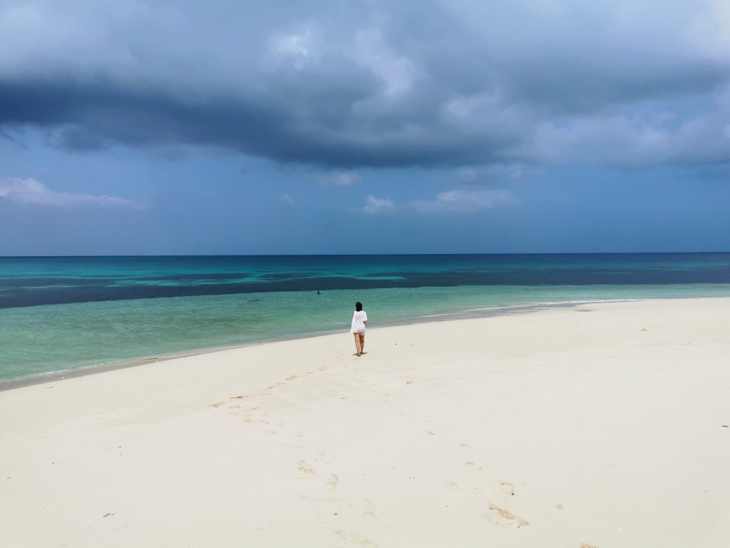 blog voyage
Madame M les voyages
6 choses à faire à Zanzibar
Blue safari