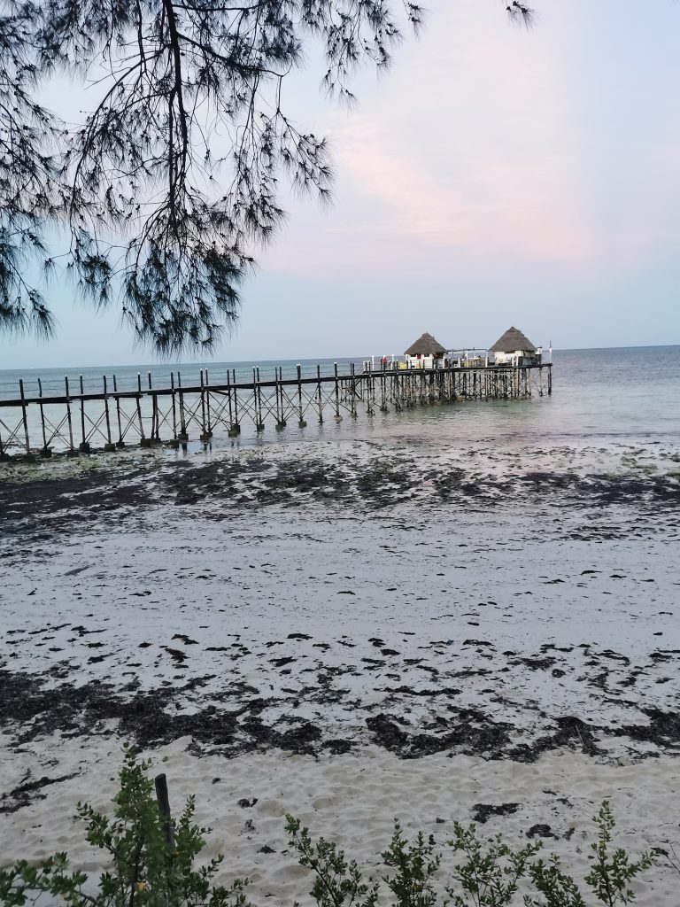 Madame M les voyages
blog voyage 
Découvrir Jambiani et Paje à Zanzibar
Le spice bar 
